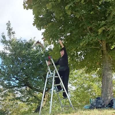 Irene startet in der Westschweiz mit dem Startteam mehrere Alpen- und Mauersegler.